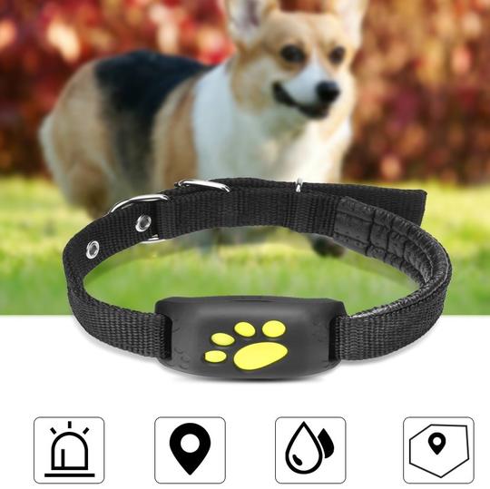 GPS dog tracker collar attachment - real-time pet location tracking device