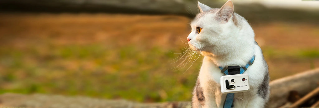 Pet Tracker With Multi-Positioning, Safety Fence, And Two-Way Voice Communication
