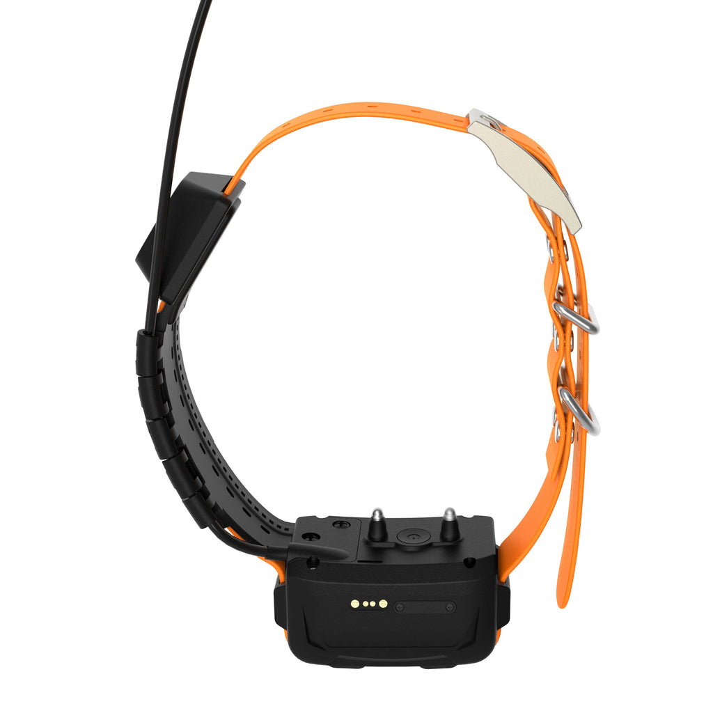 Professional Hunting Dog Training Collar: 10-Level Safety System With Bulk Custom Settings For Pet Supplies