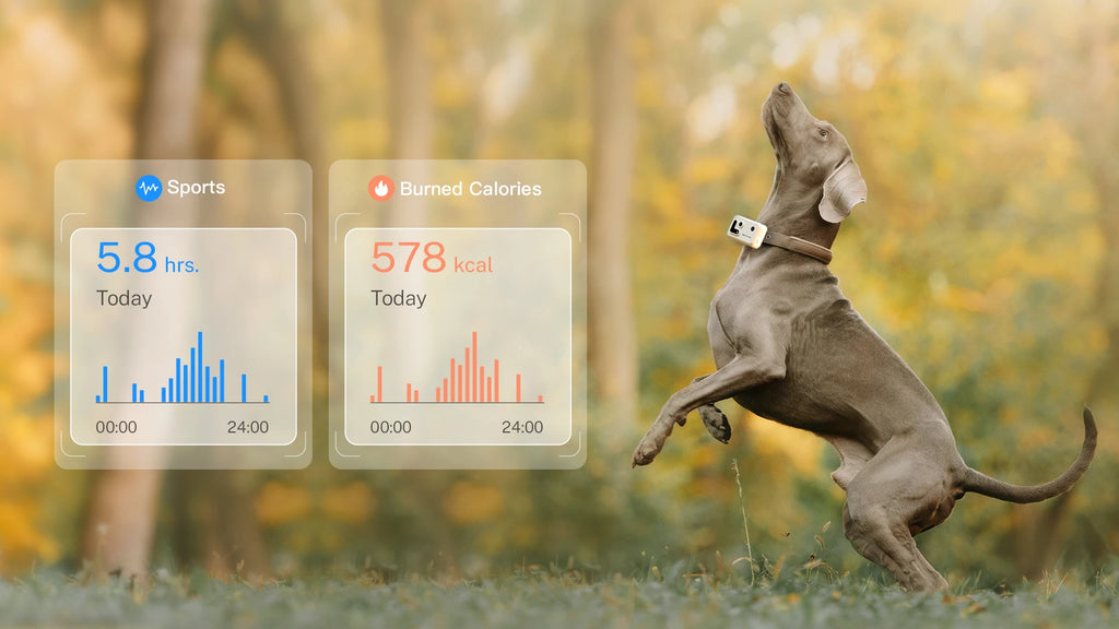 Pet Tracker With Multi-Positioning, Safety Fence, And Two-Way Voice Communication