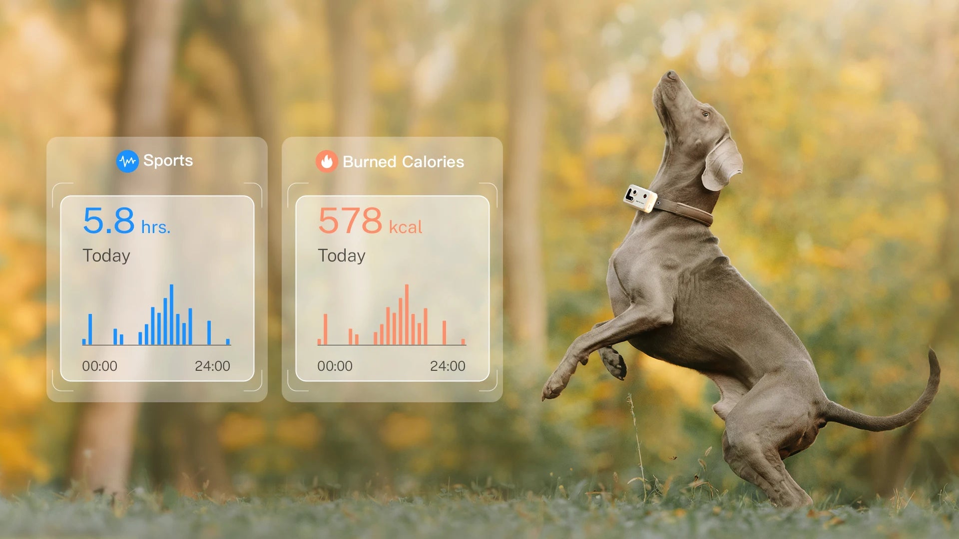 Pet Tracker With Multi-Positioning, Safety Fence, And Two-Way Voice Communication