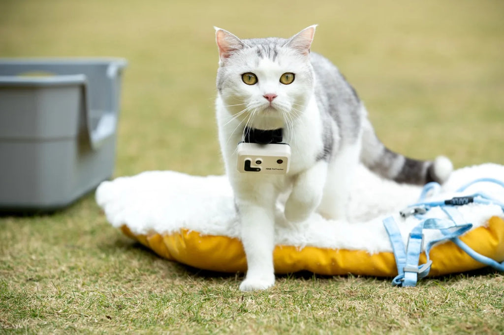 Pet Tracker With Multi-Positioning, Safety Fence, And Two-Way Voice Communication