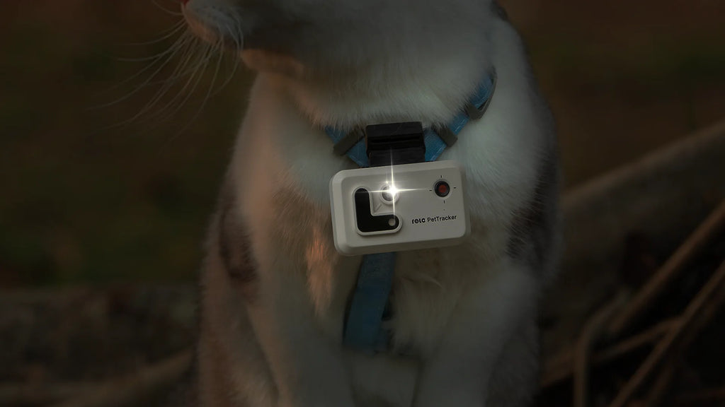 Pet Tracker With Multi-Positioning, Safety Fence, And Two-Way Voice Communication