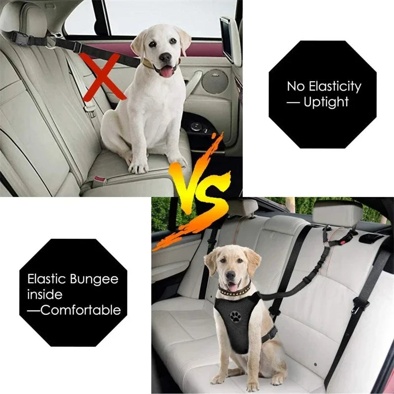 Adjustable Pet Safety Belts For Hot Dogs And Cats: Keep Your Pet Safe On The Road! Make Companionship Safer.