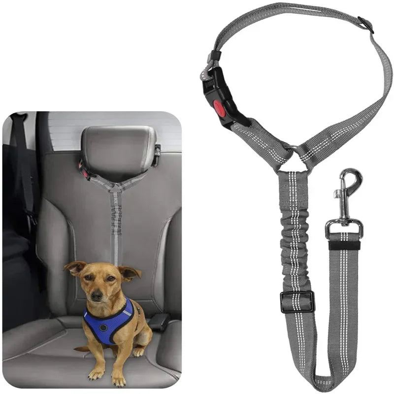 Adjustable Pet Safety Belts For Hot Dogs And Cats: Keep Your Pet Safe On The Road! Make Companionship Safer.