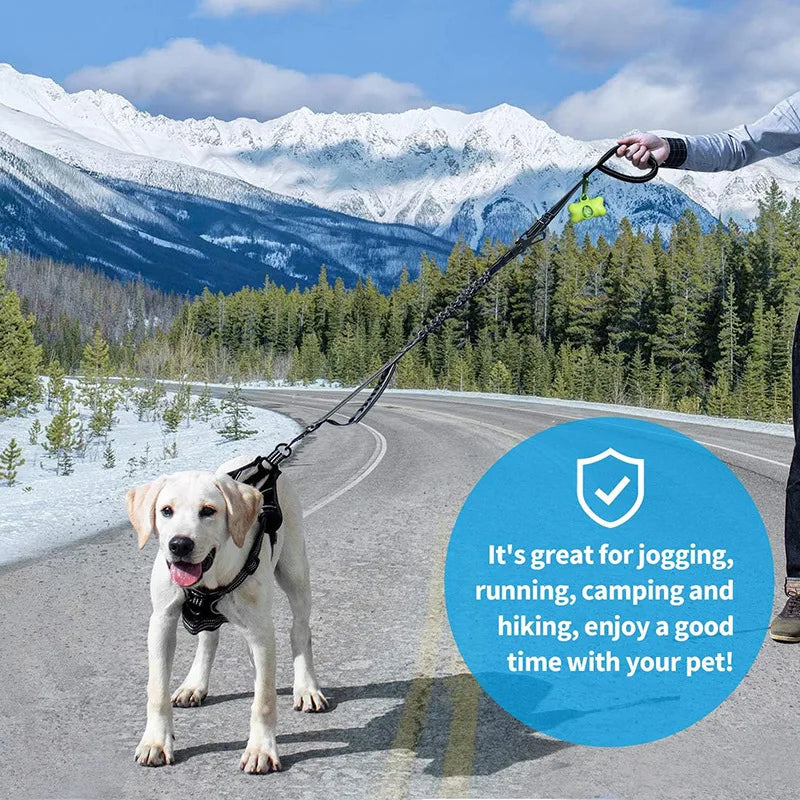 Reflective Shock Absorbing Pet Leashes with Car Seatbelt，Medium and Large Dog Tactical Safety Leash，Explosion-proof Dog Leash