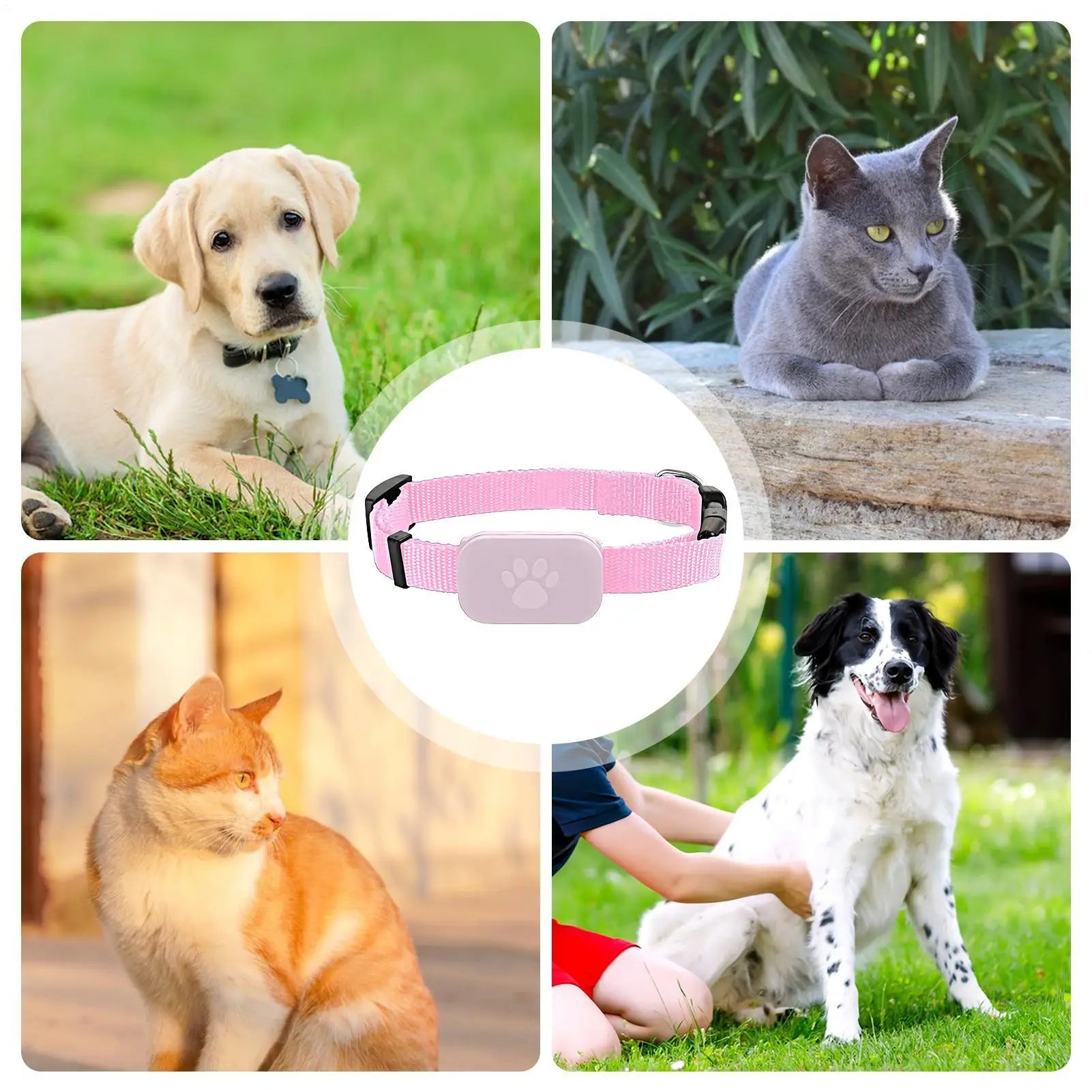 Cat Tracking GPS Collar for Pet Kitten Safety Protection Long-Lasting Battery Pet Cat  Global Locator for Medium Large Puppy