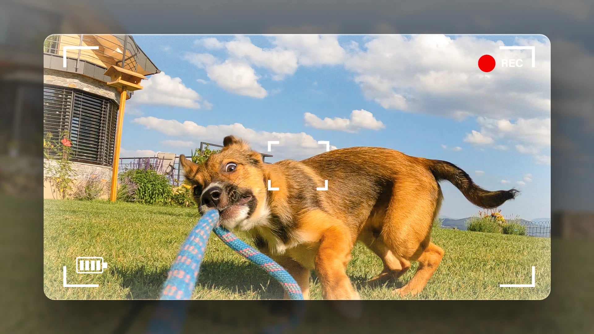 Pet Tracker With Multi-Positioning, Safety Fence, And Two-Way Voice Communication