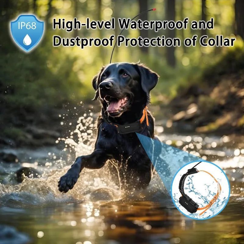 Professional Hunting Dog Training Collar: 10-Level Safety System With Bulk Custom Settings For Pet Supplies