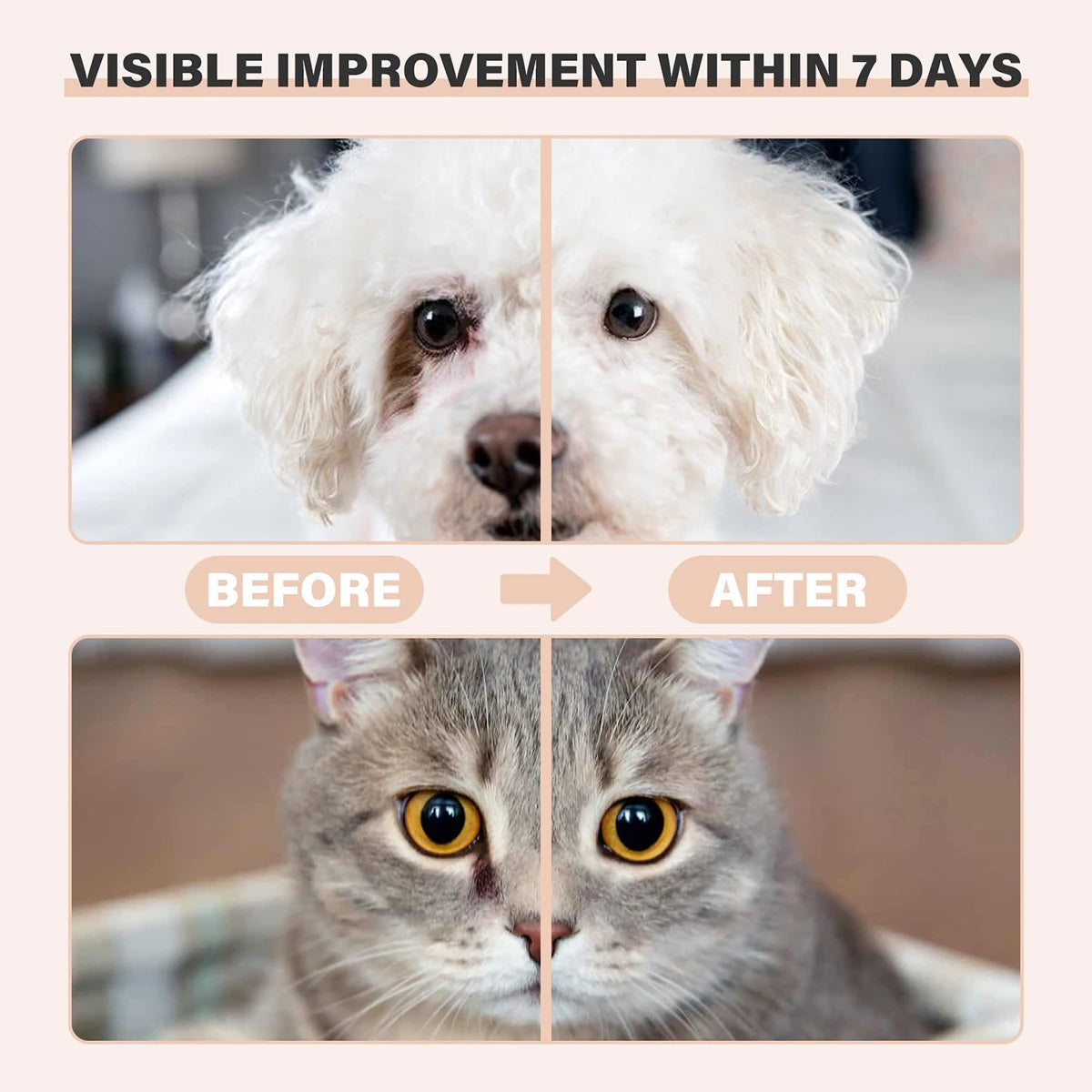 Pet Tear Stain Remover Balm With Brush Gentle Eye Cleaner For Dogs Cats Reduce Tear Marks Safe Non-Irritating Pet Eye Care