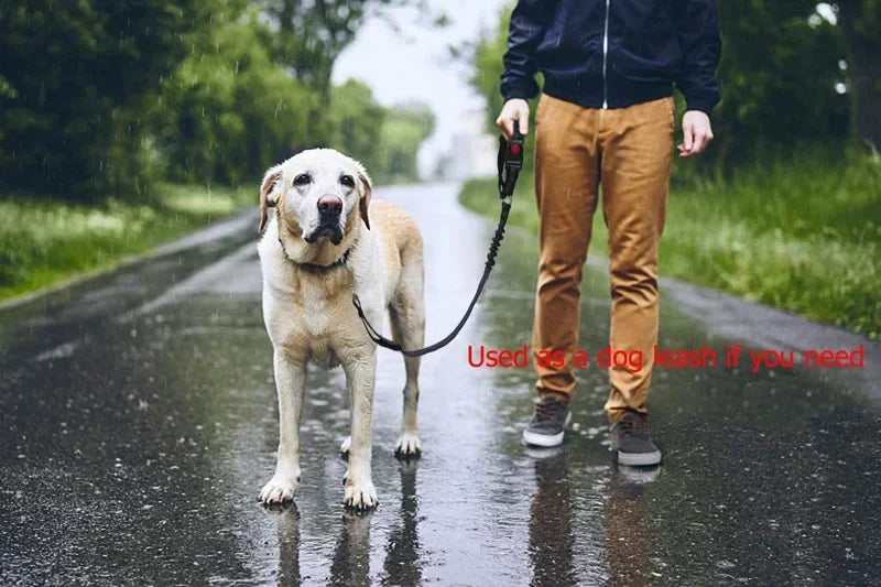 Adjustable Pet Safety Belts For Hot Dogs And Cats: Keep Your Pet Safe On The Road! Make Companionship Safer.