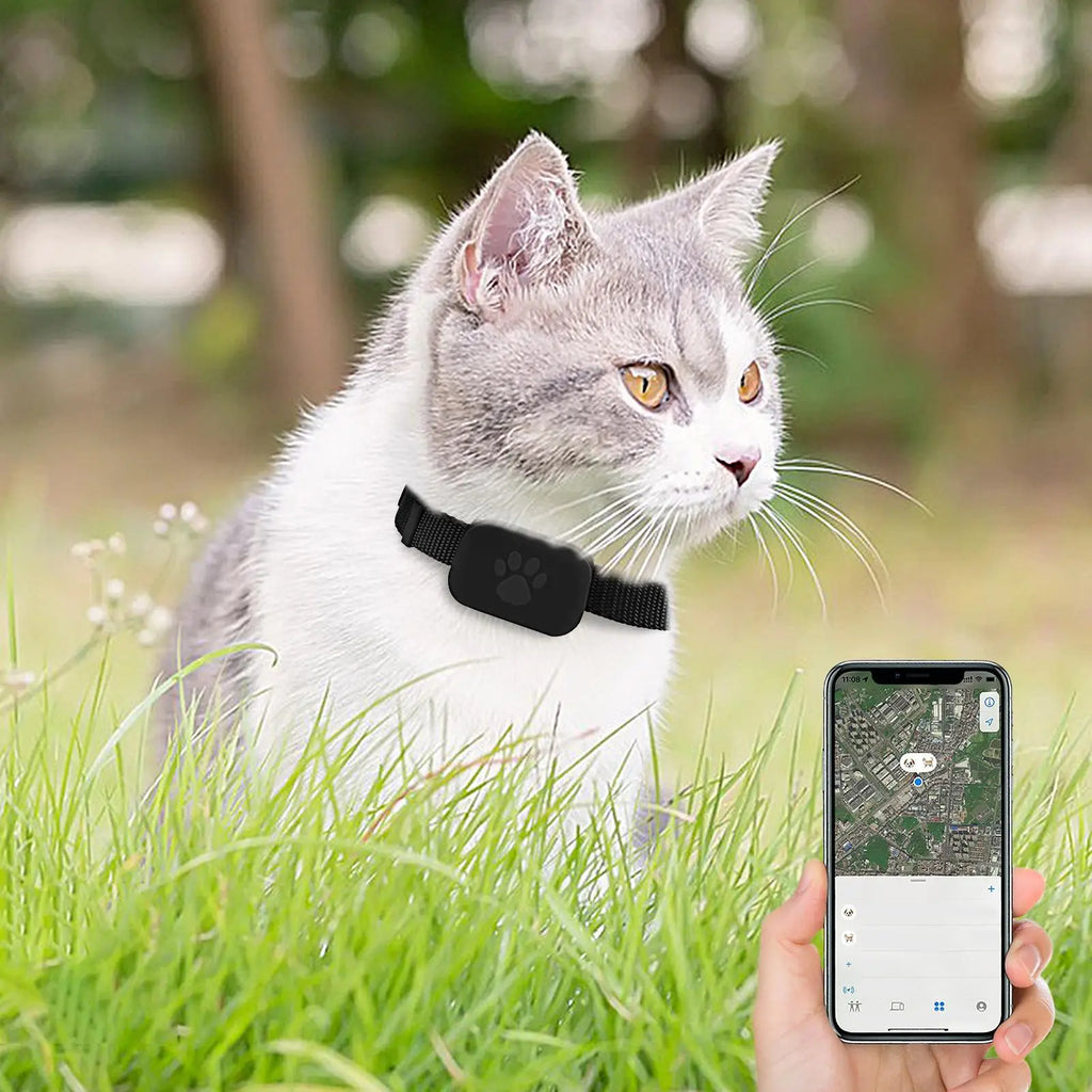 Cat Tracking GPS Collar for Pet Kitten Safety Protection Long-Lasting Battery Pet Cat  Global Locator for Medium Large Puppy