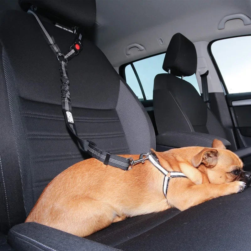 Adjustable Pet Safety Belts For Hot Dogs And Cats: Keep Your Pet Safe On The Road! Make Companionship Safer.