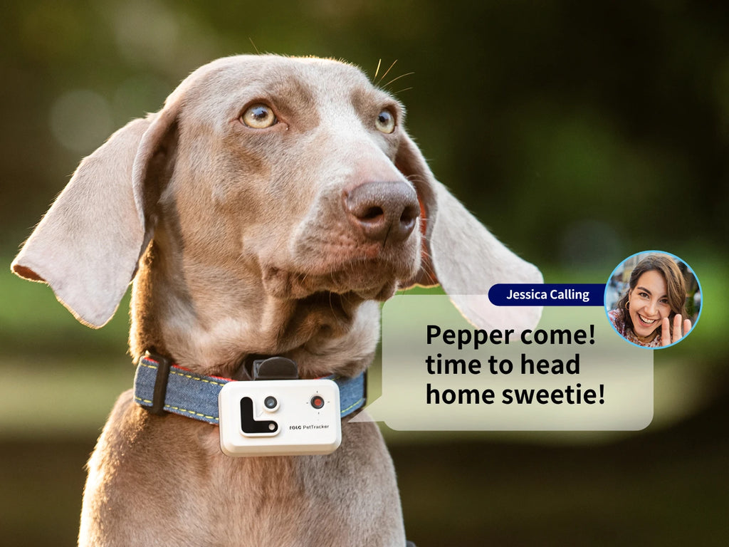 Pet Tracker With Multi-Positioning, Safety Fence, And Two-Way Voice Communication