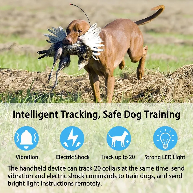 Professional Hunting Dog Training Collar: 10-Level Safety System With Bulk Custom Settings For Pet Supplies