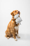 Orthopedic Pet Bed | Memory Foam & Waterproof Cover